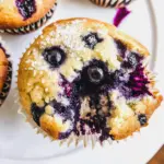 Vegan Blueberry Muffins